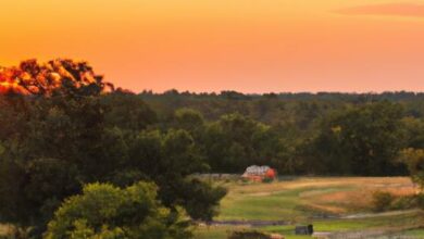 Good Day Farm Van Buren Ar