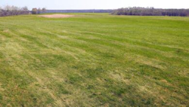 Green Acres Sod Farm